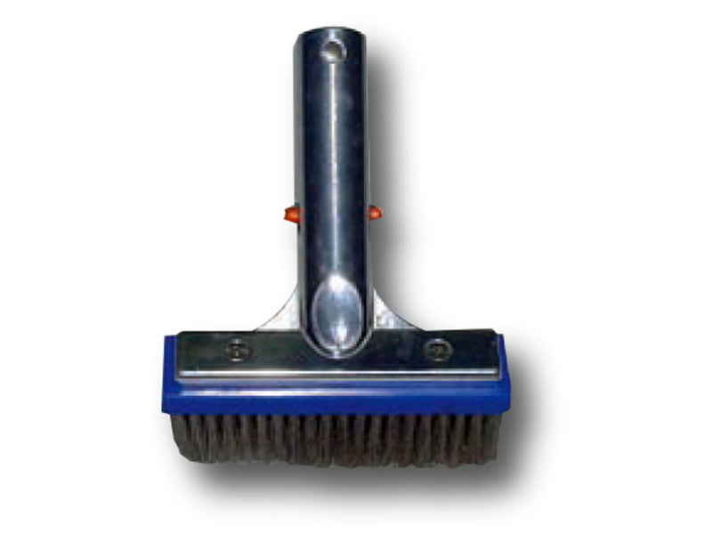 Dayliff Algae Wall Brush