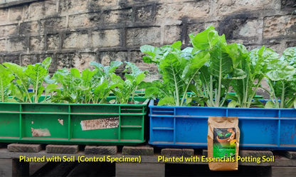 Essential Potting Soil - 5Litres