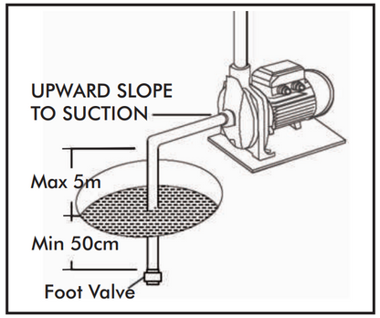 Dayliff DDP 65 Domestic Pump