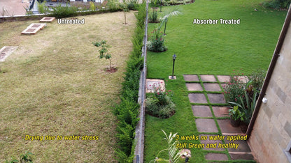 Absorber Water Retainer Small Granules - 1kg