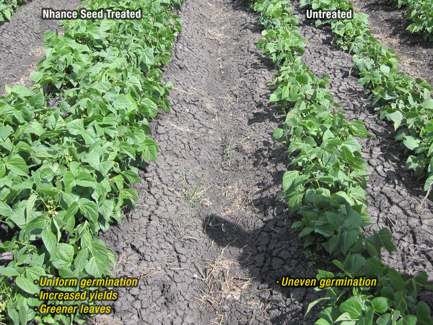 Nhance Foliar - 1Ltr