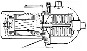 DAYLIFF DBH8-30 1.5KW 1PH S/S PUMP